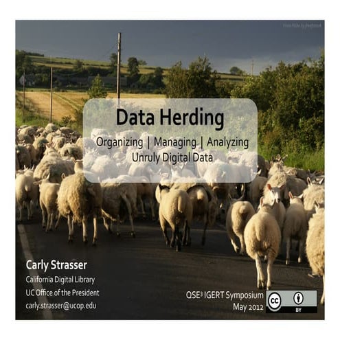 Data Herding for Scientists - IGERT Symposium at UF