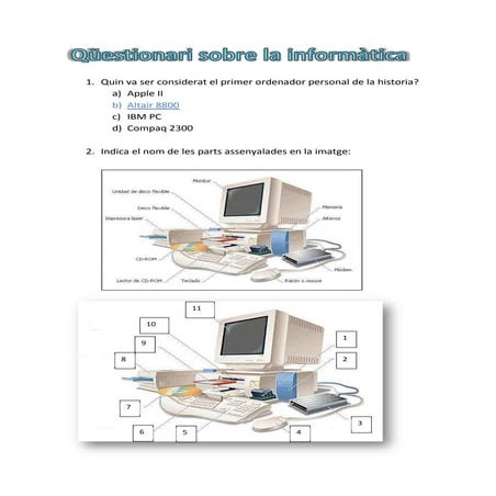 Qüestionari sobre la informàtica pdf