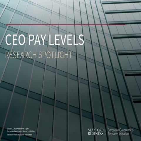 CEO Pay Levels Research Spotlight