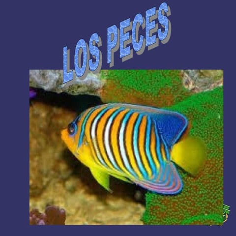 Trabajo peces