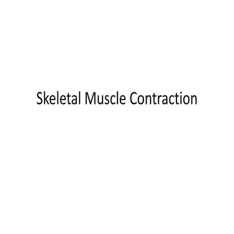 Skeletal muscle contraction 
