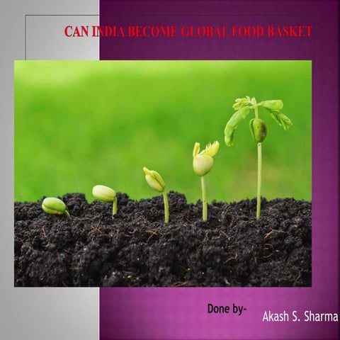 Can india become global food basket