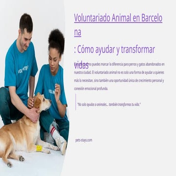 Voluntariado Animal en Barcelona: Cómo ayudar y transformar vidas
