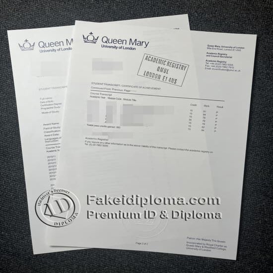 QMUL transcript | PDF