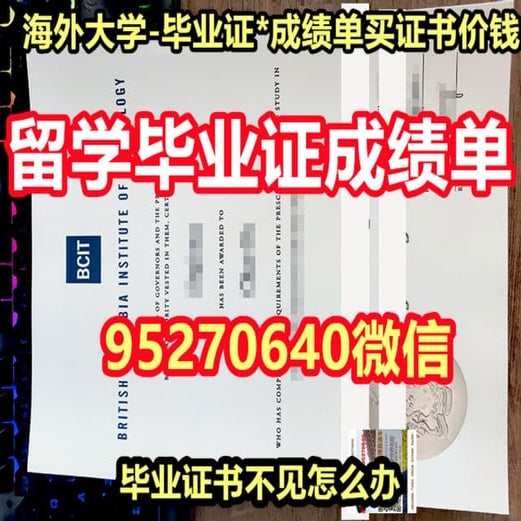 MIT毕业证 | PDF