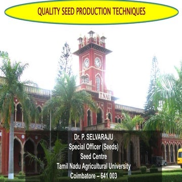 Quality seed production
