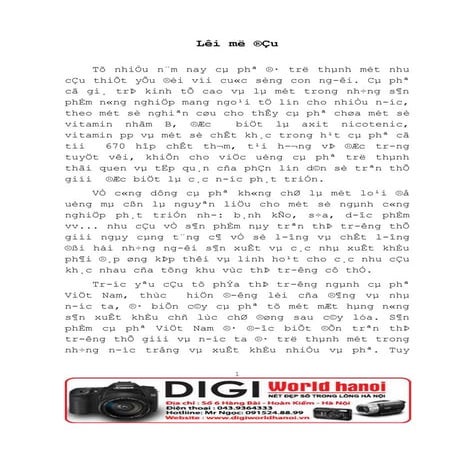 Luận văn tốt nghiệp