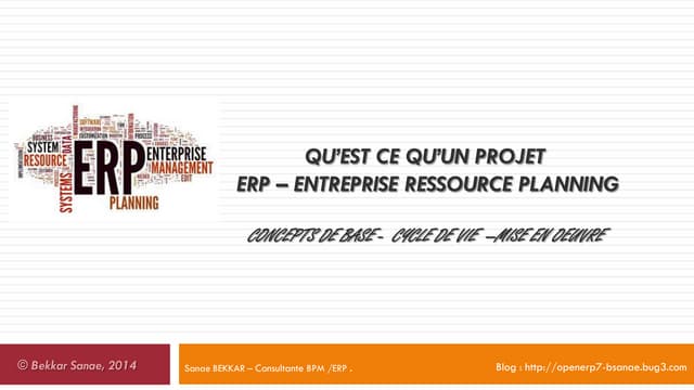 Qu’est ce qu’un  projet ERP - Entreprise Resource Planning -