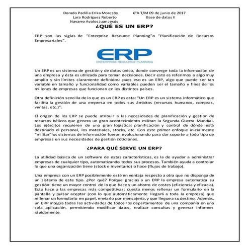 ¿Que es un ERP?
