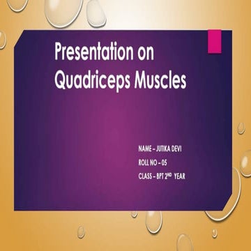 Quadriceps Muscles-.origin, insertion, action and nerve supply of tha muscle