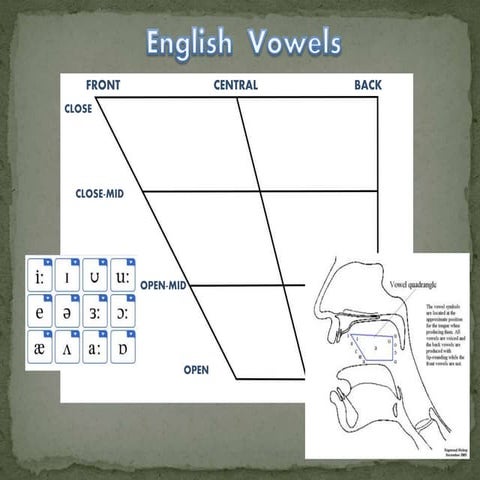 Vowels, diphthongs and triphthongs