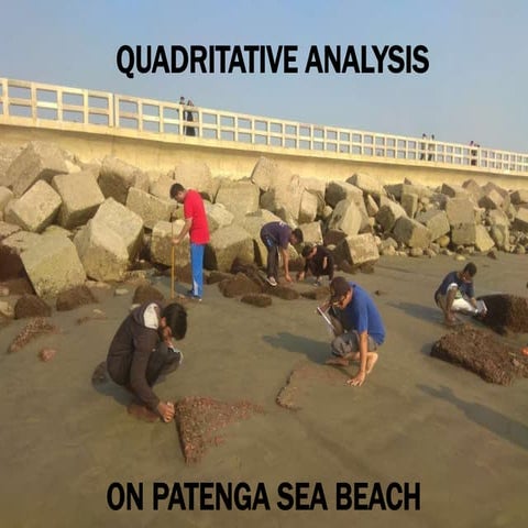 Quadritative analysis on potenga sea beach | PPTX