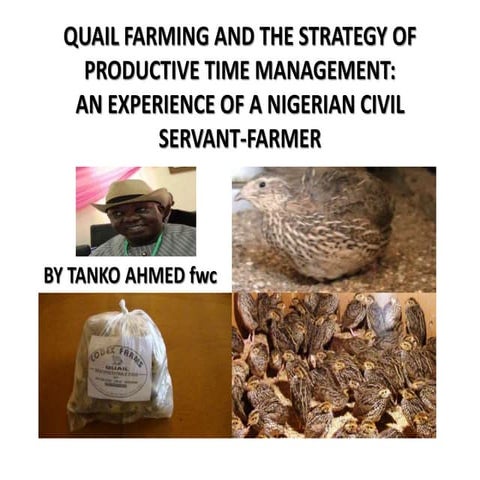 QUAIL FARMING AND THE STRATEGY OF PRODUCTIVE TIME MANAGEMENT: AN EXPERIENCE O...