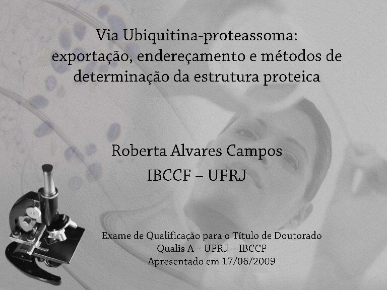 What is a dissertation picture