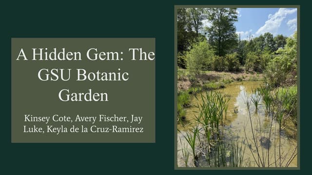 A Hidden Gem: The GA Southern Botanic Garden