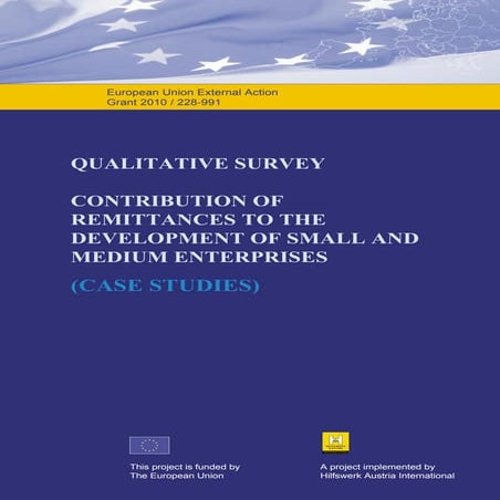 Qualitative survey ”Contribution of Remitteces to the Development ...”