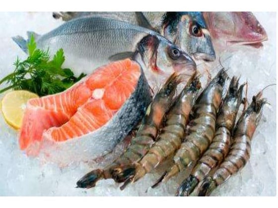 Internal parts of a fish and their functions | PPTX