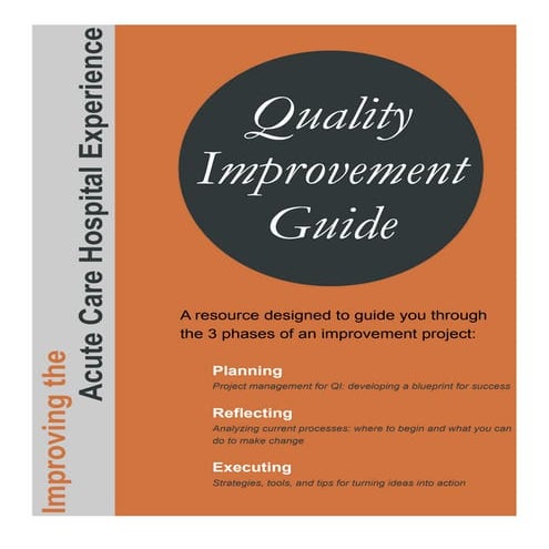 Quality Improvement Project Guide