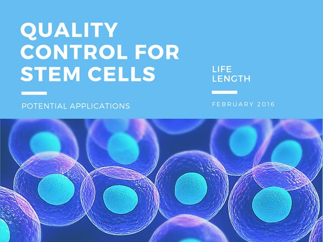 Quality control for stem cells 