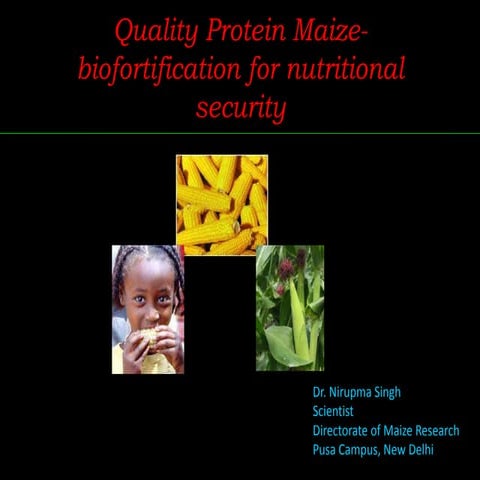 Quality protein maize  biofortification for nutritional security
