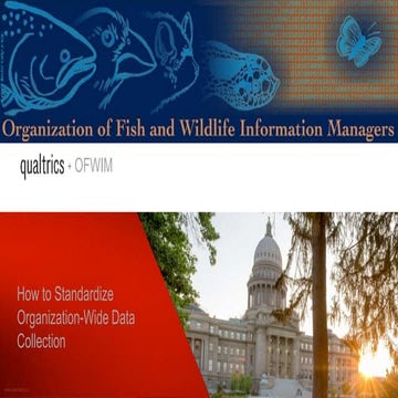 How to Standardize Organization-Wide Data Collection