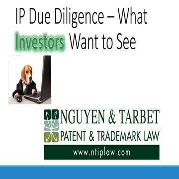 IP Due Diligence-What Investors Want To See | Quan Nguyen | Lunch & Learn 