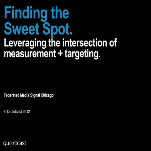 Finding the Sweet Spot: A Case Study on the Display Advertising Revolution (S...