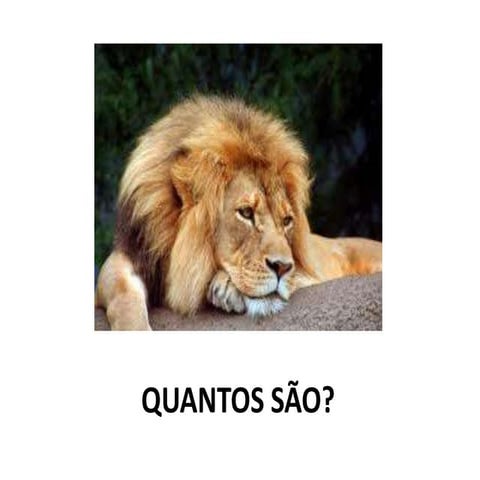 Quantos são?