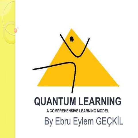 Quantum learning