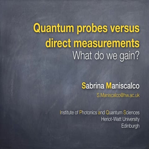 Quantum information probes 