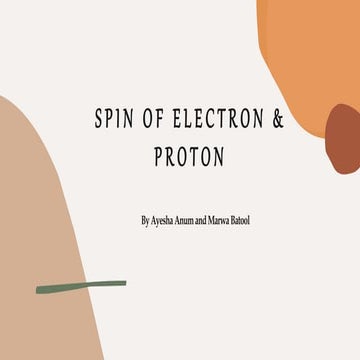 Spin of electron and proton