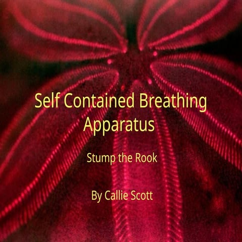 Quarterly SCBA 1 Powerpoint (Callie Fraser).ppt.pptx