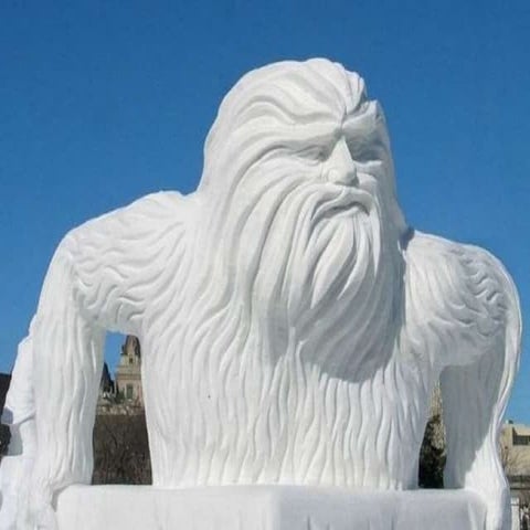 Ice and Snow Sculptures