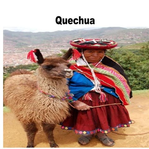 Quechua | ODP