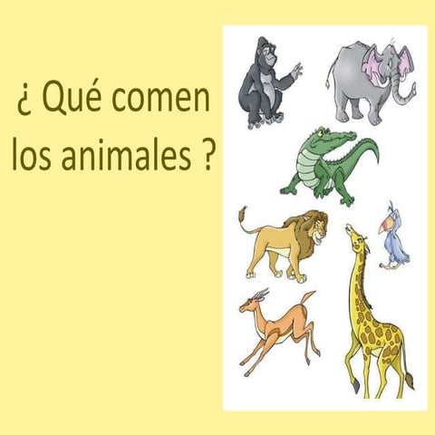 Que Comen Los Animales