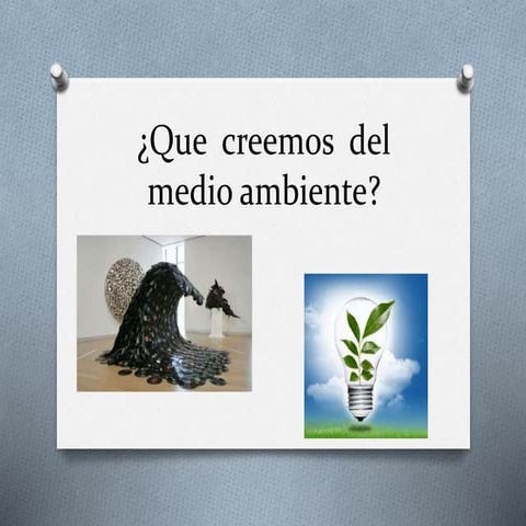 Que  creemos  del  medio ambiente