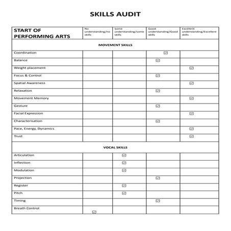 Skills Audit Pdf