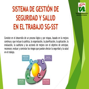 SISTEMA DE GESTION DE SEGURIDAD Y SALUD EN EL TRABAJO | PDF