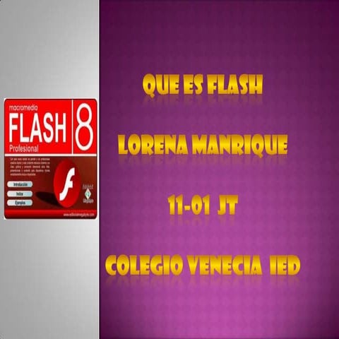 Que es flash
