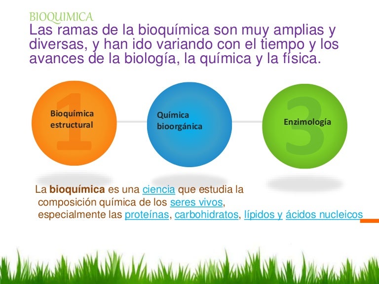 Que es la bioquimica Que es la bioquimica