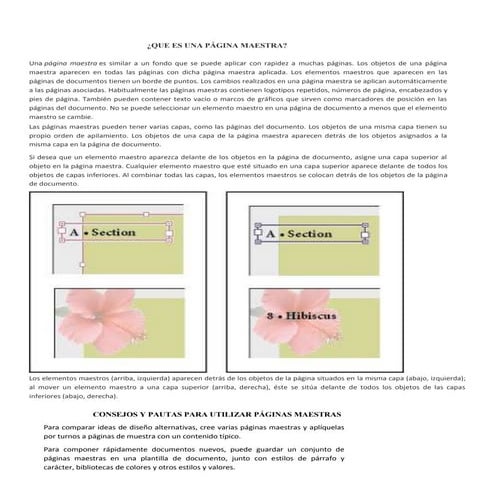 Que es una página maestra