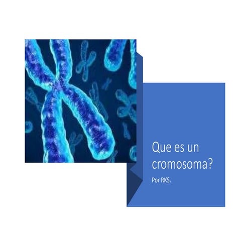Que es un cromosoma. 