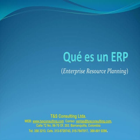 Que es un_erp