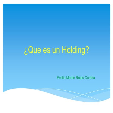 Concepto de holding