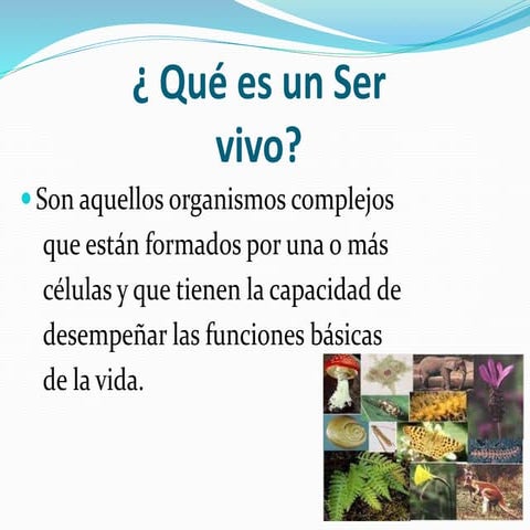 características de los seres vivos