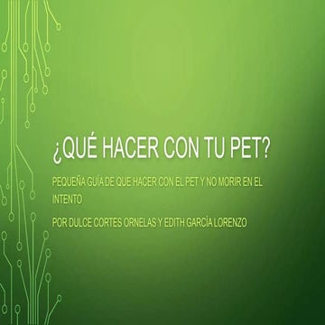 Qué hacer con tu pet