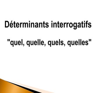 Quelle  final    l'adjectif interro...