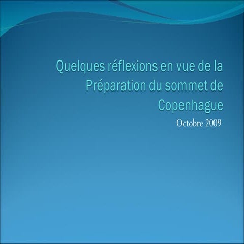 Quelques Réflexions en vue De Copenhague