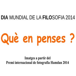 Què en penses. Dia mundial de la Fi...