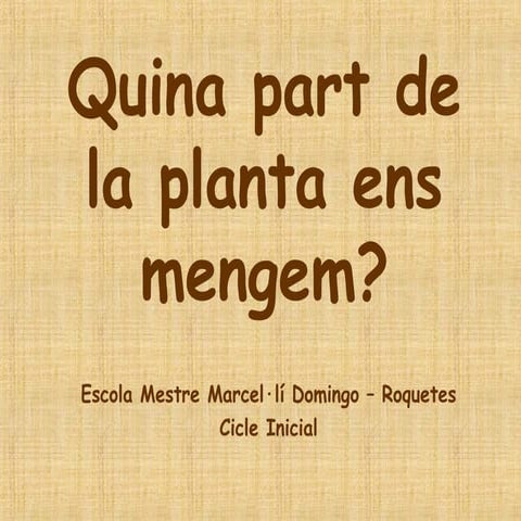 Què ens mengem de les plantes